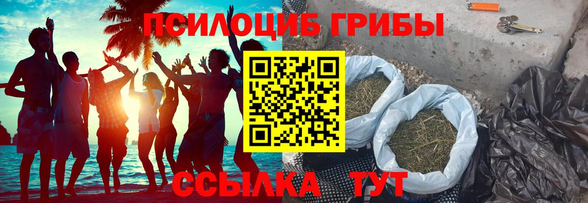 купить  сайты  Вход с VPN  Рассказово  Псилоцибиновые грибы Psilocybe 